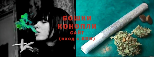 трава Беломорск
