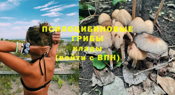 метадон Белокуриха