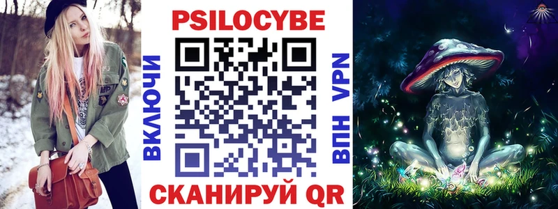 это какой сайт  Кологрив  Псилоцибиновые грибы Psilocybe 